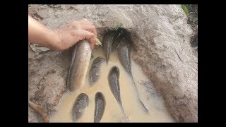Smart Man Makes 3 Bottle Deep Hole Fishing Trap |  Amazing Fishing Skills