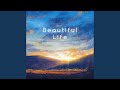 Beautiful Life (Cover)