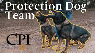 Elite Protection Dog Team: Fully Trained Protection Dogs By Canine Protection International