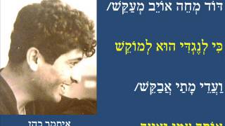 איתמר כהן/חוס אלוהי/ITAMARPINHAS