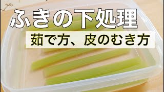 中学生でもできる『ふきの下処理』！茹で方、剥き方を丁寧に解説