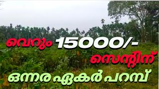 സെ. വെറും 15000/-വെച്ച് ഒന്നര ഏകർ പറമ്പ് വില്പനക്ക്.