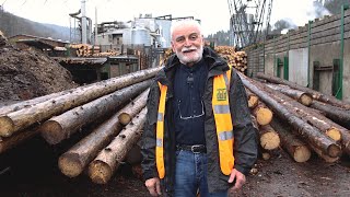 Dold Holzwerke - Vom Schwarzwälder Baum zur Dreischichtplatte für Olympia