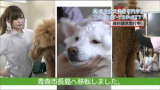 2307青森愛犬美容専門学院　新校舎完成７月編.wmv