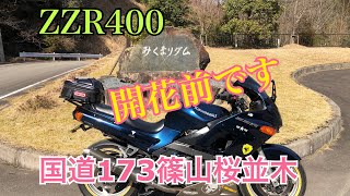 2023年3月11日　ZZR400 篠山173桜並木#zzr400 #桜並木 #篠山