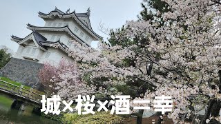 埼玉県で1日桜満喫ツアー#3 【忍城址編】