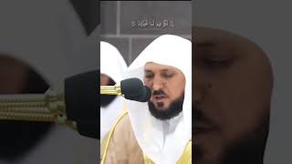 (مَا لَكُمْ كَيْفَ تَحْكُمُونَ) تلاوة خاشعة مؤثرة بنبرة صوت حزينة تأخذك لعالم آخر - أرح سمعك وقلبك 🤍