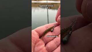 🔥#fishing #youtubeshorts #fishingvideo #рыбалка #рыбалка2023 #окунь #рибалка #спиннинг #ловляокуня