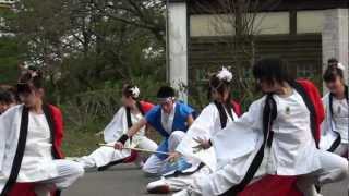 静峰 八重桜祭 さかど華吹雪 - 石狩大漁歌