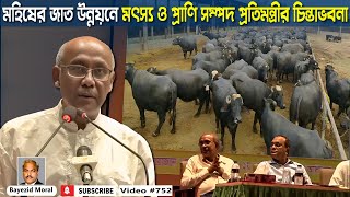 মহিষের জাত উন্নয়ন করতে হবে যেভাবে | Buffalo breed development