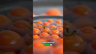 🔴¡CUIDADO! NUNCA GUARDES los TOMATES en ESTE SITIO