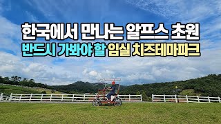 한국에서 만나는 알프스 초원: 임실 치즈테마파크