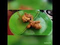 ##Bengali chicken kasha ##Manika's Kitchen