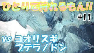 【MHWI】ひとりで狩れるもん!! #11【モンスターハンターワールド アイスボーン実況】