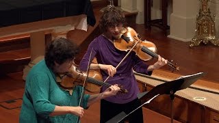 Tarquinio Merula: Ballo detto Pollicio, Voices of Music 4K UHD