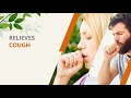 Herbion Naturals Sugar Free Cough Lozenges