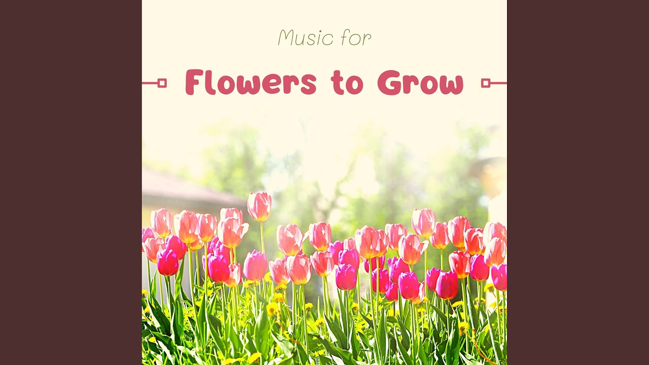 Growing Flowers Youtube