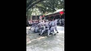 Shaolin Kungfu Snake Fist