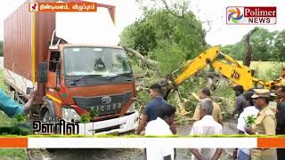 திண்டிவனம் அருகே லாரி மீது விழுந்த புளிய மரத்தால் போக்குவரத்து பாதிப்பு