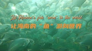 Let Hainan’s Fish \