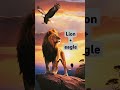 Lion+eagle 😯#shorts #shortvideo