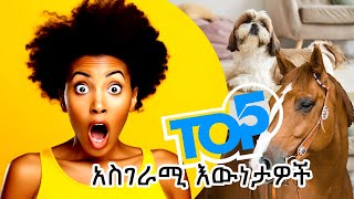 5 በአለም ላይ ከፍተኛ ዋጋ የተሸጡ እንስሳት | አስገራሚ እውነታዎች!