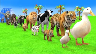 Long Slide Game With Elephant Gorilla Buffalo Hippopotamus Tiger 3d Animal Game Funny 3d Animals