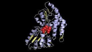 Maltose-binding protein