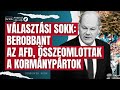 sokk a német választásokon berobbant az afd összeomlottak a kormánypártok rendkívüli hírek