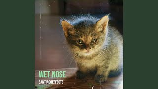 Wet Nose