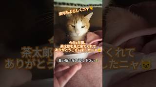 チュールを食べたよ(๑´ڡ`๑)今日も１日中段ボールの中のカゴの中でゆっくり過ごしたよ😺１年間ありがとうございましたニャ😽