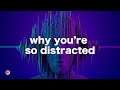 Why Your Brain Gets Distracted So Easily