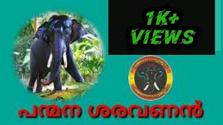 പന്മന  ശരവണൻ... Panmana Saravanan നിങ്ങൾക്ക് ഇവനെ കുറിച് അറിയാമോ??