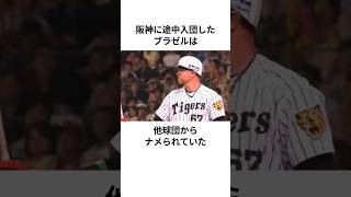 阪神時代のブラゼルに関する雑学 #ブラゼル #阪神タイガース #プロ野球 #雑学