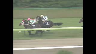 ナリタブライアン 1996年 第26回高松宮杯(GI) (優勝馬：フラワーパーク)