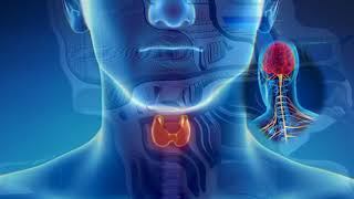 CoRus-Tiroida și Sistemul nervos+natură+763Hz+764Hz / Thyroid and Nervous System+nature+763Hz+764Hz