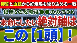 根岸ステークス2022【絶対軸1頭】公開！G1へつながる重要な一戦。好走傾向は明確で迷わず絶対軸はアノ馬！単複強め1頭は複勝率93.7％！