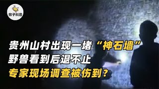 贵州山村出现一堵“神石墙”，野兽看到往后退，专家调查被伤到？