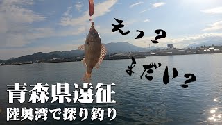 青森県遠征！陸奥湾で探り釣りしてたらまさかの魚種が・・・・