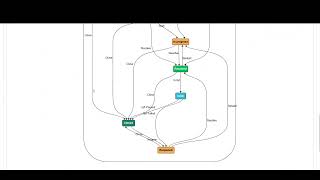 Codebeamer for Beginners Tutorial – Tracker Workflow