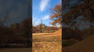 Autumn Walk in Olympic Park 🇰🇷 / 올림픽공원 가을산책 / Travel Vlog / 모리슨 영상여행