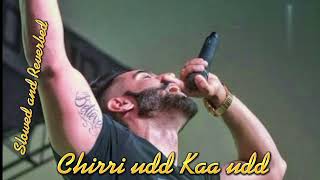 Chirri udd Kaa udd l Parmish Verma l Slowed and Reverbed l Bass Boosted