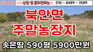 #0423북안면 주말농장지 솟은땅 590평 5900만원/ 영천시내와  가깝고 대구에서도 30분내외의 거리에 주말농장지로 추천드리는 땅/#영천땅 #영천촌집 010-8489-3589/