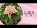 Claveles de Listón | Diana CV