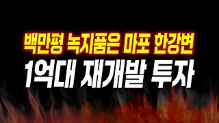 마포 더블 역세권 1억대 재개발 투자로 20억대 신축아파트 가능하다고?