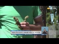 Visión 7 - Piden legalizar el cannabis para uso medicinal