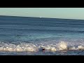 south coast nsw surfing dry reef