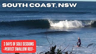 SOUTH COAST NSW | SURFING DRY REEF