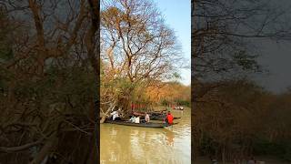 ratargul swamp forest in winter #sylhet