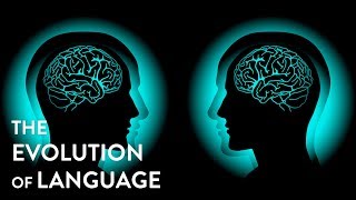 The Evolution Of Human Language Systems; Thought based language?
